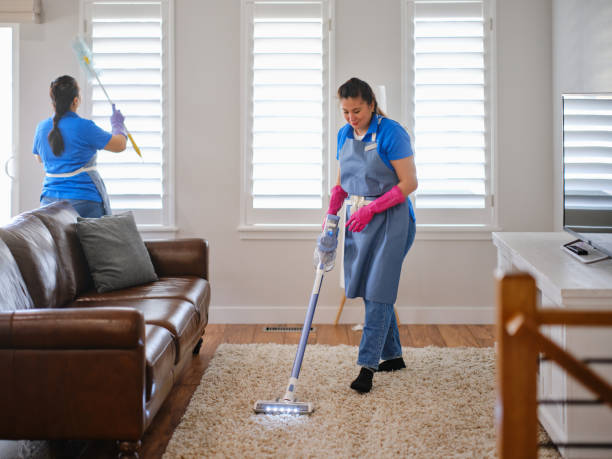 Domestic Cleaning Services